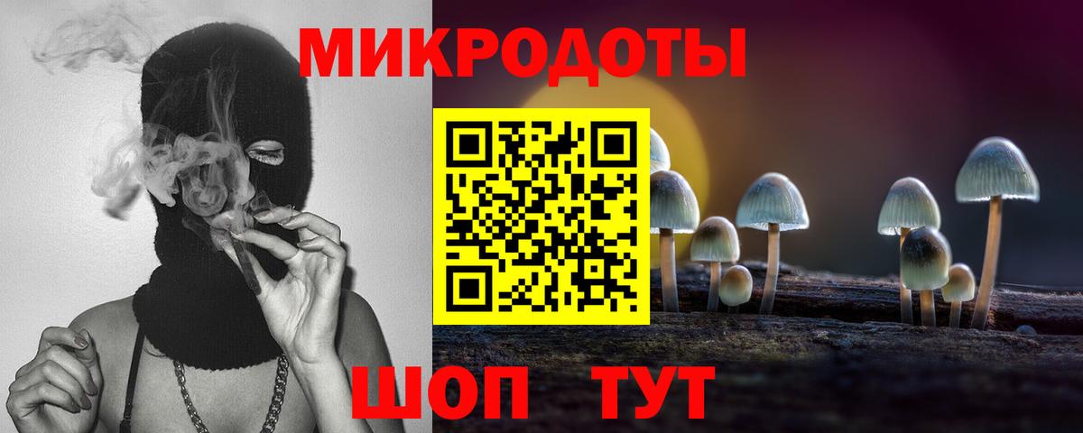Скопин  Псилоцибиновые грибы MAGIC MUSHROOMS  Вход с VPN 